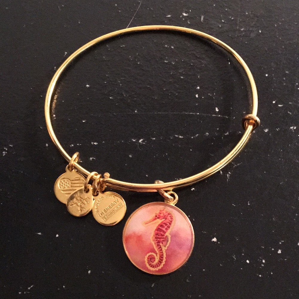 Alex and Ani bracelet